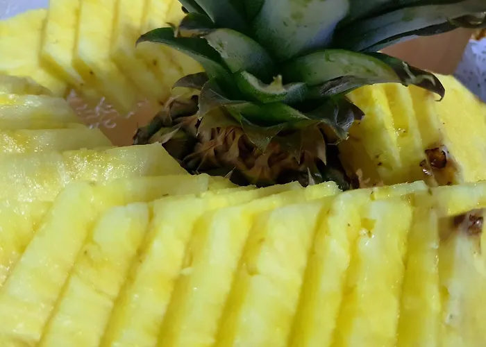 Otel Sant March Tossa de Mar