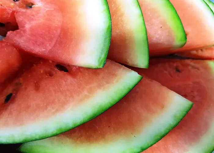 Sant March 酒店 滨海托萨